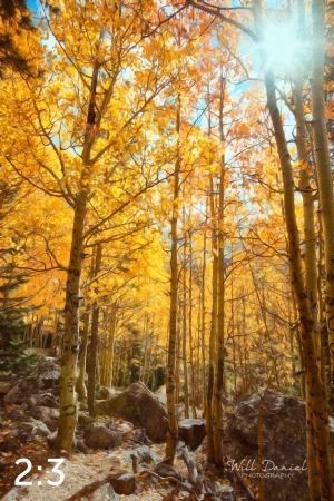 Rocky Mountain National Park 59600-S3A