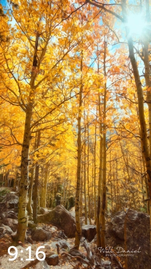 Rocky Mountain National Park 59600-S3A