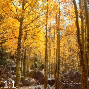 Rocky Mountain National Park 59600-S3A