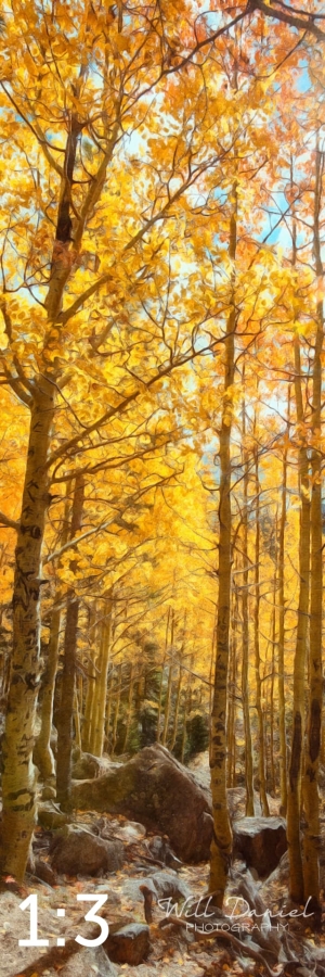 Rocky Mountain National Park 59600-S3A