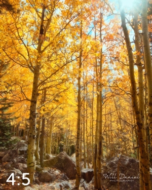 Rocky Mountain National Park 59600-S3A