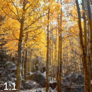 Rocky Mountain National Park 59600-S3Achroma
