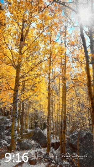 Rocky Mountain National Park 59600-S3Achroma