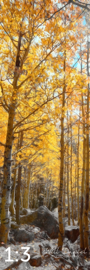 Rocky Mountain National Park 59600-S3Achroma