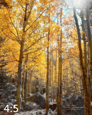 Rocky Mountain National Park 59600-S3Achroma