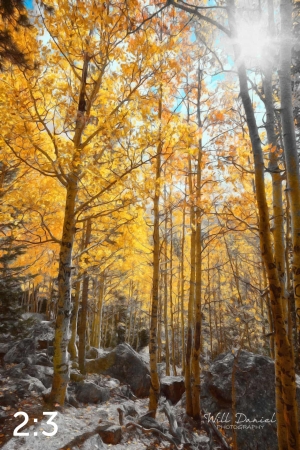 Rocky Mountain National Park 59600-S3Achroma