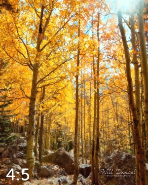 Rocky Mountain National Park 59600-O4