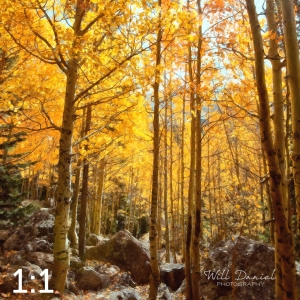 Rocky Mountain National Park 59600-O4