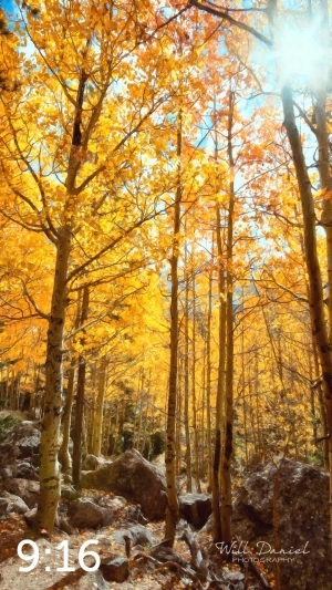 Rocky Mountain National Park 59600-O4