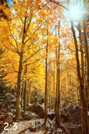 Rocky Mountain National Park 59600-O4