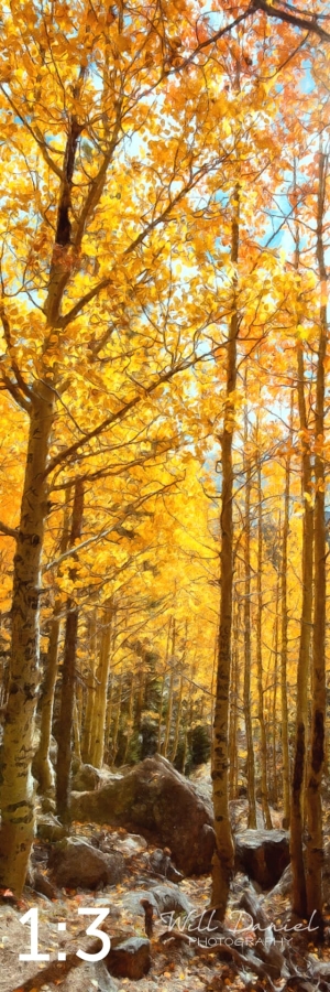 Rocky Mountain National Park 59600-O4