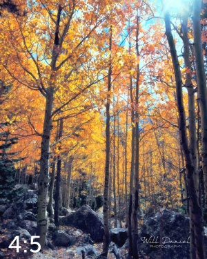 Rocky Mountain National Park 59600-O4vail
