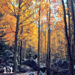 Rocky Mountain National Park 59600-O4vail