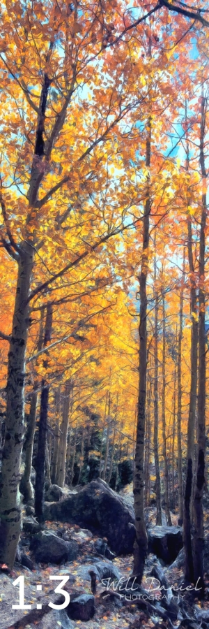 Rocky Mountain National Park 59600-O4vail