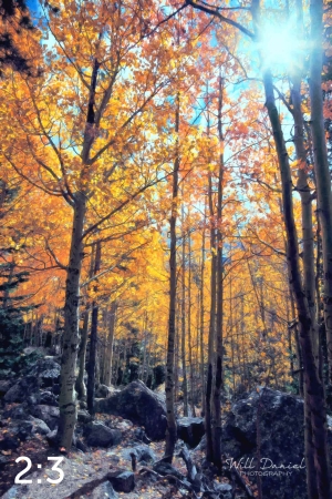 Rocky Mountain National Park 59600-O4vail
