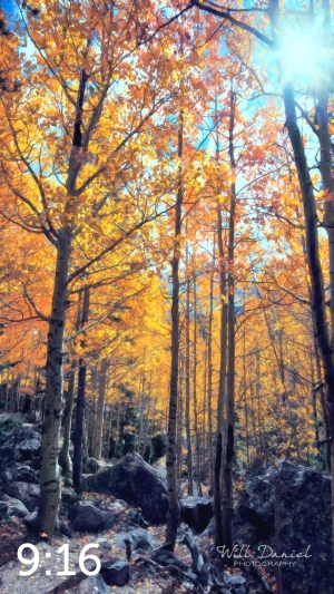 Rocky Mountain National Park 59600-O4vail