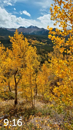 Rocky Mountain National Park 59812