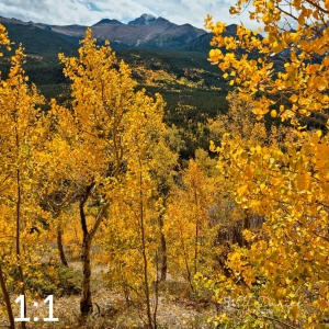 Rocky Mountain National Park 59812