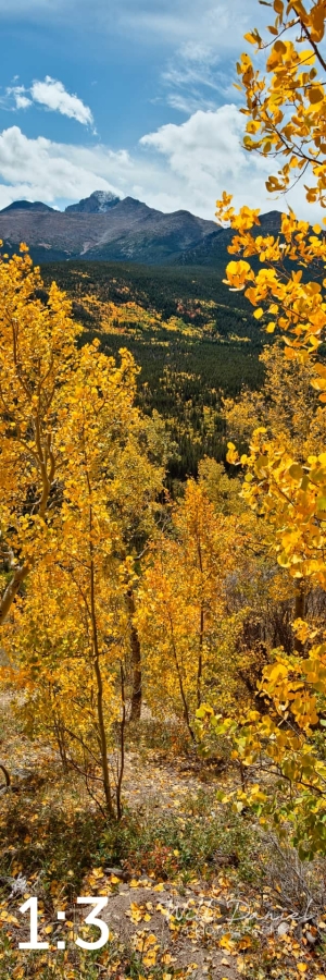 Rocky Mountain National Park 59812
