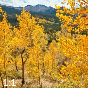 Rocky Mountain National Park 59812-O4