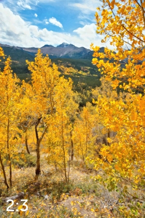 Rocky Mountain National Park 59812-O4