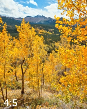 Rocky Mountain National Park 59812-O4