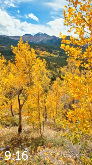 Rocky Mountain National Park 59812-O4