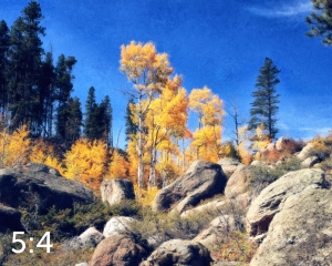 Rocky Mountain National Park 510853-N2fulton