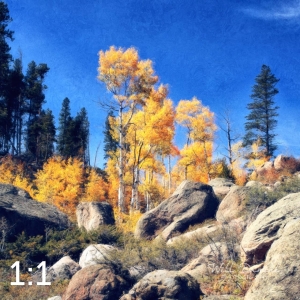 Rocky Mountain National Park 510853-N2fulton