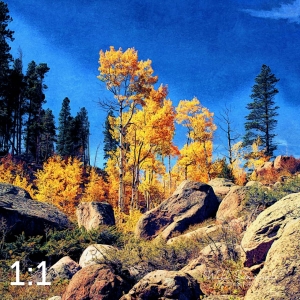 Rocky Mountain National Park 510853-I4fulton