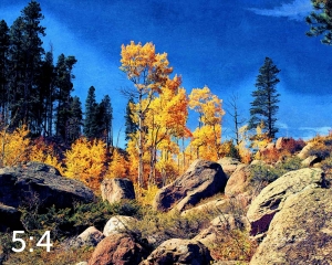 Rocky Mountain National Park 510853-I4fulton