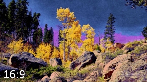 Rocky Mountain National Park 510853-I4amaranth