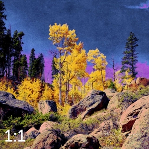 Rocky Mountain National Park 510853-I4amaranth