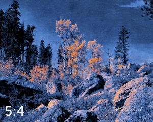 Rocky Mountain National Park 510853-I4maya