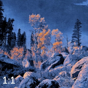 Rocky Mountain National Park 510853-I4maya