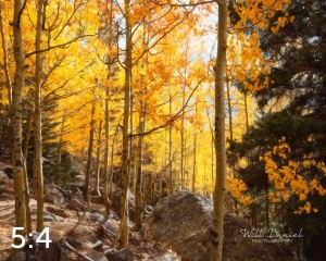 Rocky Mountain National Park 59596_S3A