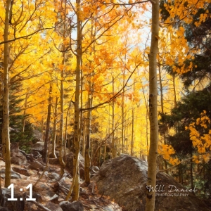 Rocky Mountain National Park 59596_S3A