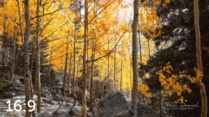 Rocky Mountain National Park 59596_S3Achroma
