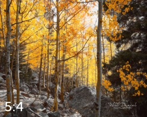 Rocky Mountain National Park 59596_S3Achroma