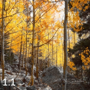Rocky Mountain National Park 59596_S3Achroma