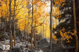 Rocky Mountain National Park 59596_S3Achroma