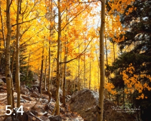 Rocky Mountain National Park 59596-O4