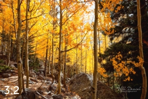 Rocky Mountain National Park 59596-O4