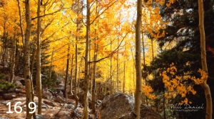 Rocky Mountain National Park 59596-O4