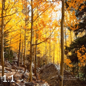 Rocky Mountain National Park 59596-O4