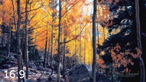 Rocky Mountain National Park 59596-O4vail