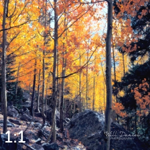 Rocky Mountain National Park 59596-O4vail