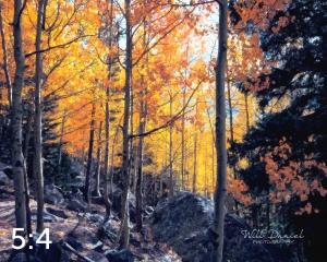 Rocky Mountain National Park 59596-O4vail