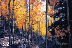 Rocky Mountain National Park 59596-O4vail