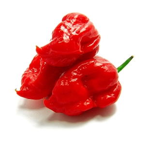 Butch T Scorpion Chilli